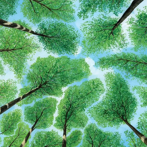 大櫆响的三个经典电影名字
